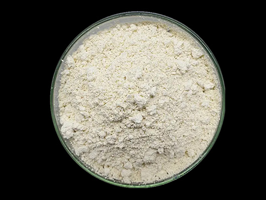 Allicin powder