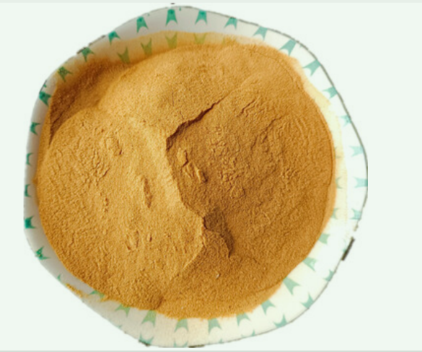 Organic Fertilizer:Corn Steep liqour Powder 42% Introduction